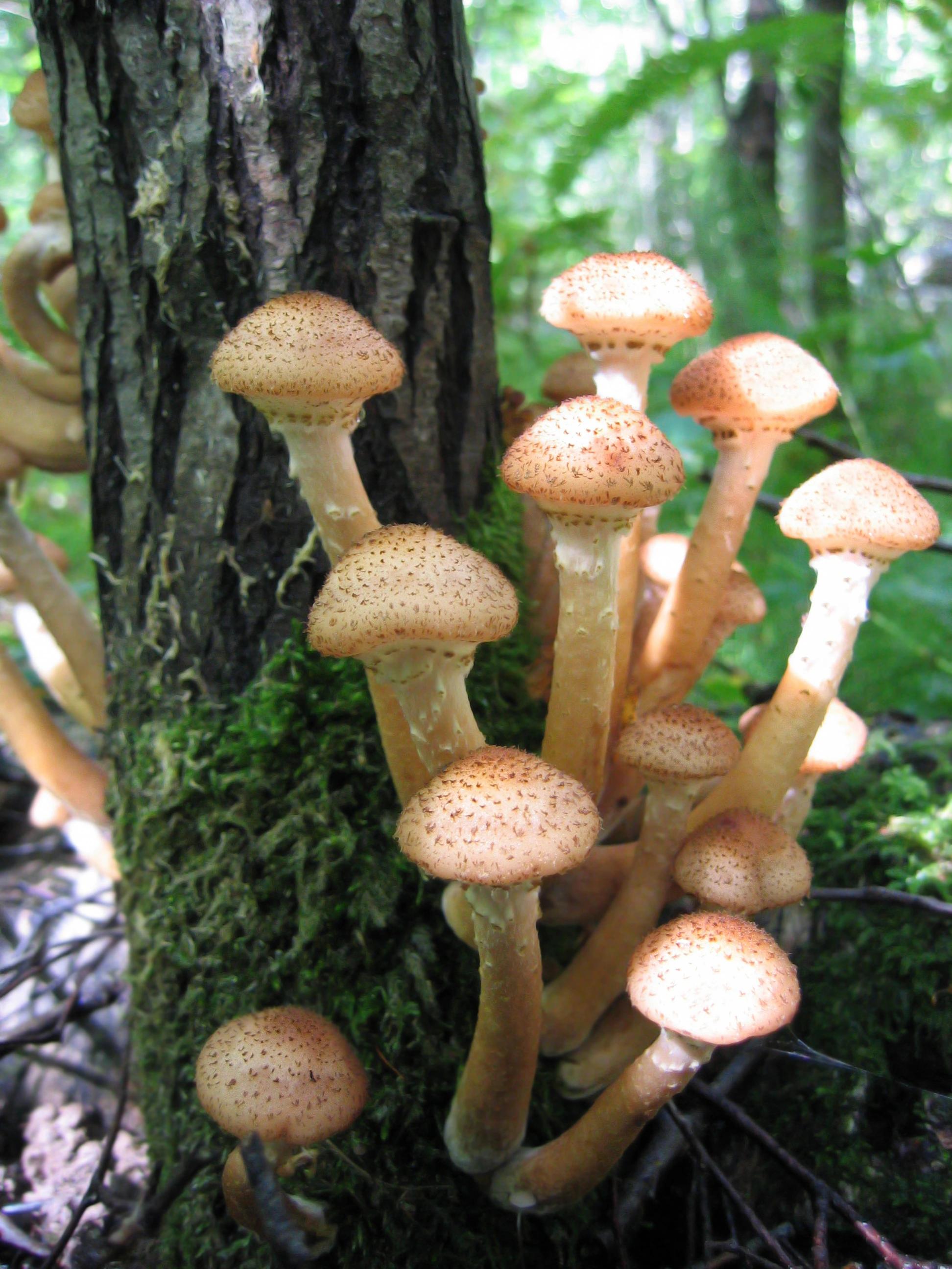 COOPERATION image