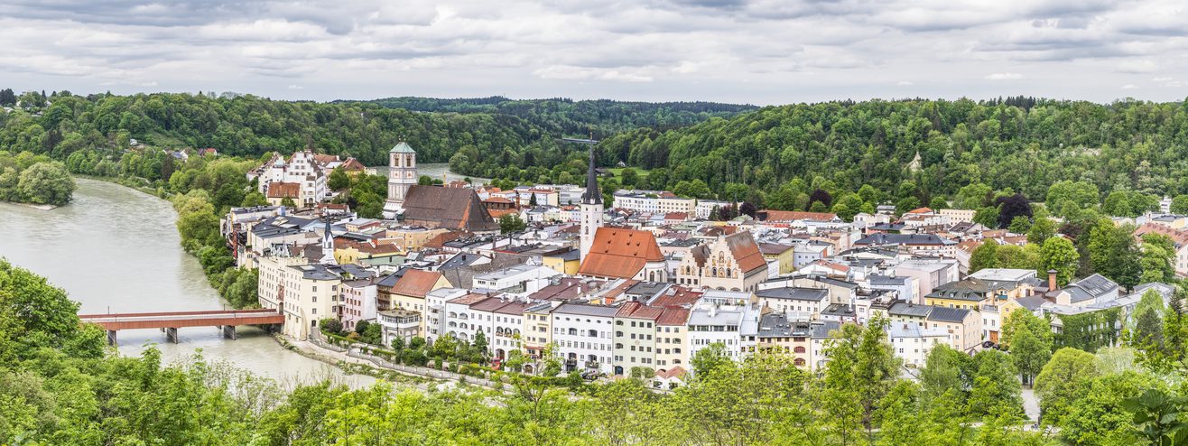 Agroforstfläche in Bayern